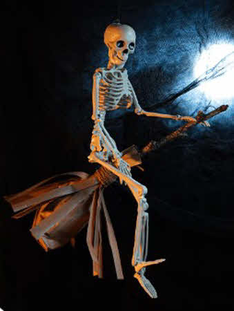 Heksenbezem met snoepzak