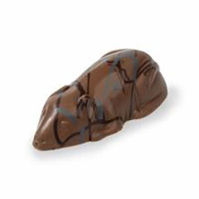 Muizen grijs gevuld met praliné