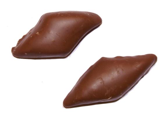 Chocolade Spekruitjes