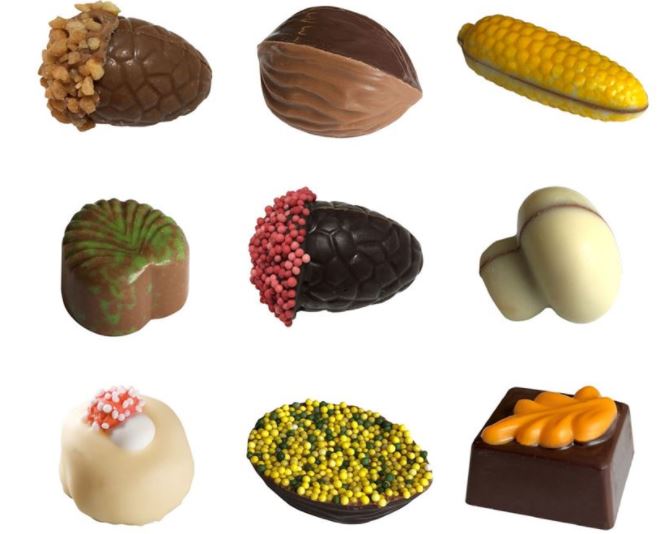 Herfst Pralines