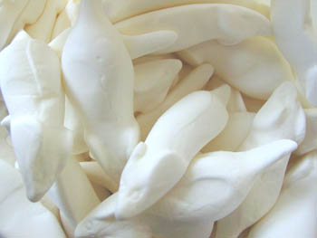 witte muizen