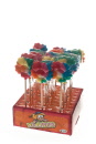 bloemlolly regenboog 20st