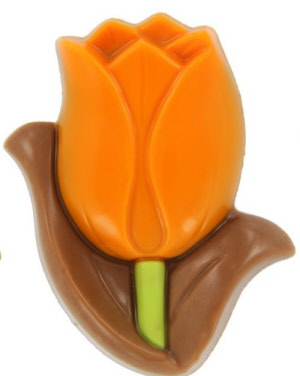 chocolade tulp oranje