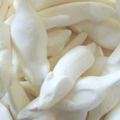witte muizen
